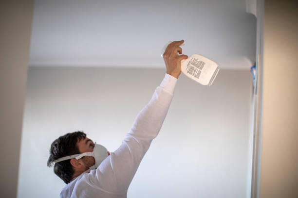 Home Mold Removal in Richwood, WV